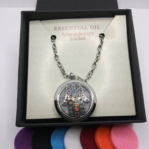 Hamsa Chakra Essential Oil Aroma Therapy Locket